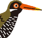 沖縄やんばるDMO logo