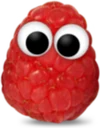 Freche Freunde Schweiz logo