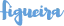 Município da Figueira da Foz logo