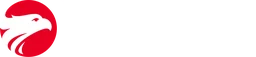 Wizard by Pearson logo